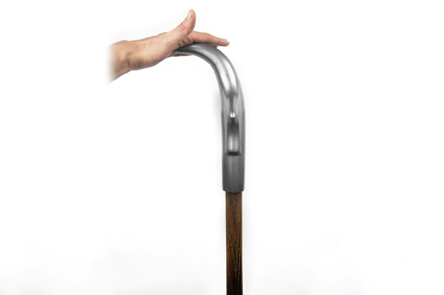 Renaissance Halberd head