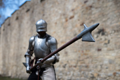 Renaissance Halberd head